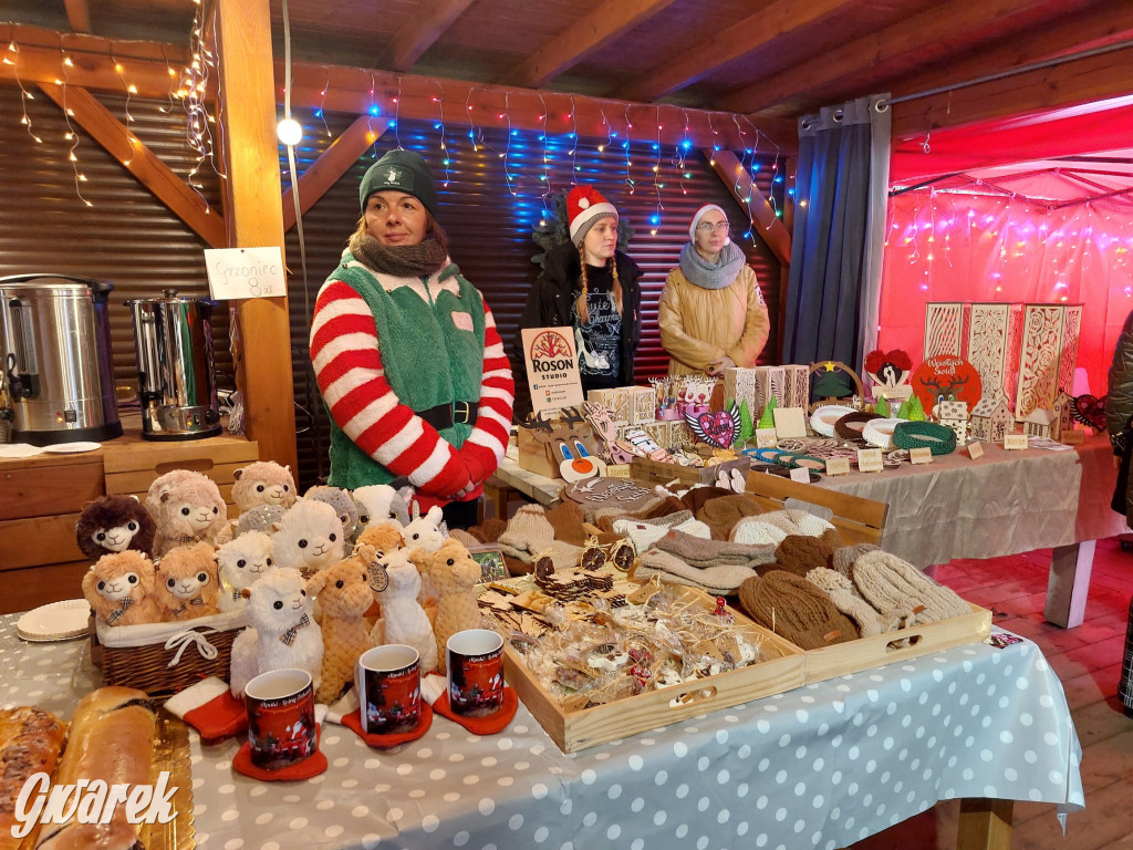 Kameralnie, z alpakami. Połomski jarmark