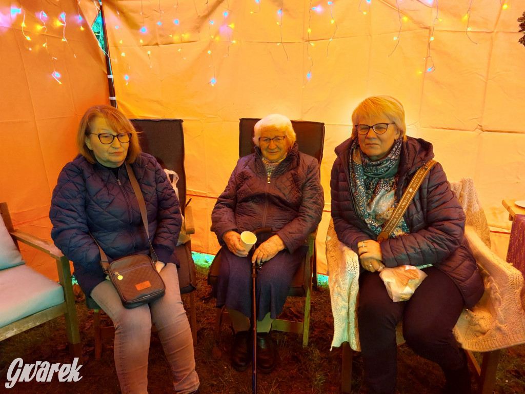 Kameralnie, z alpakami. Połomski jarmark