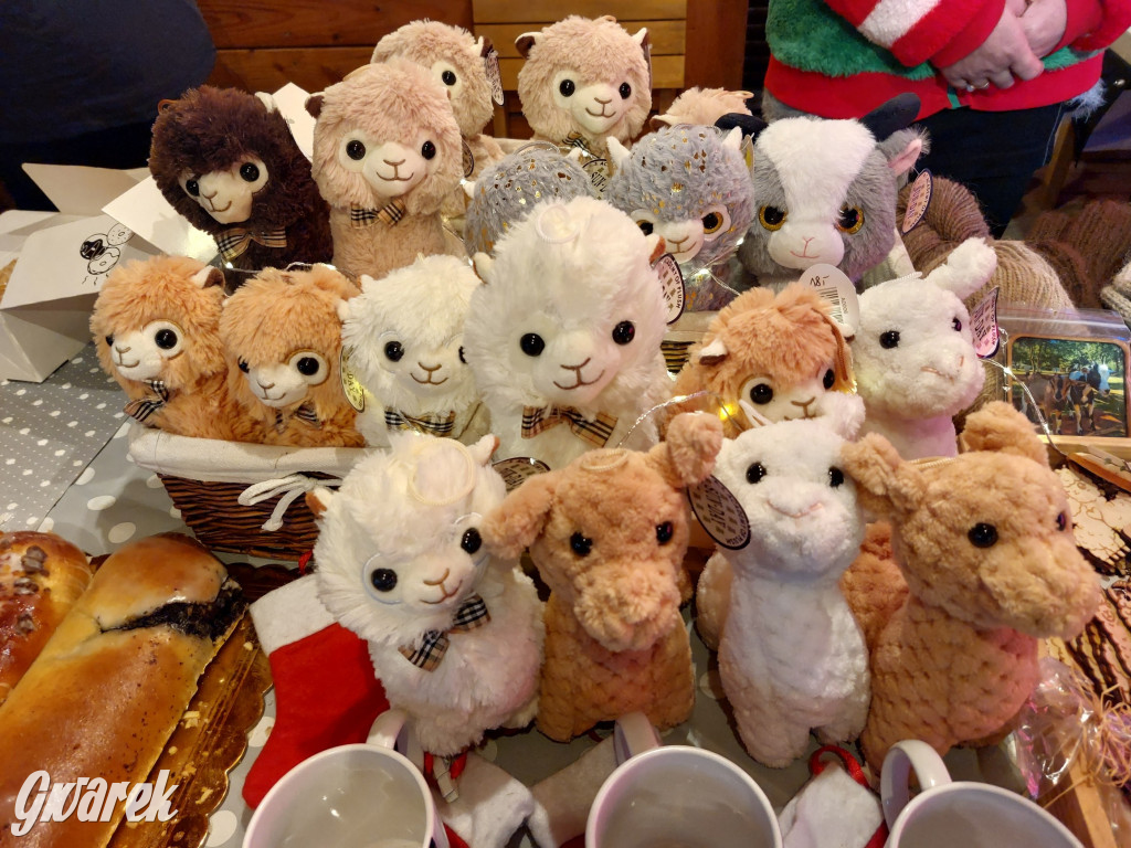 Kameralnie, z alpakami. Połomski jarmark