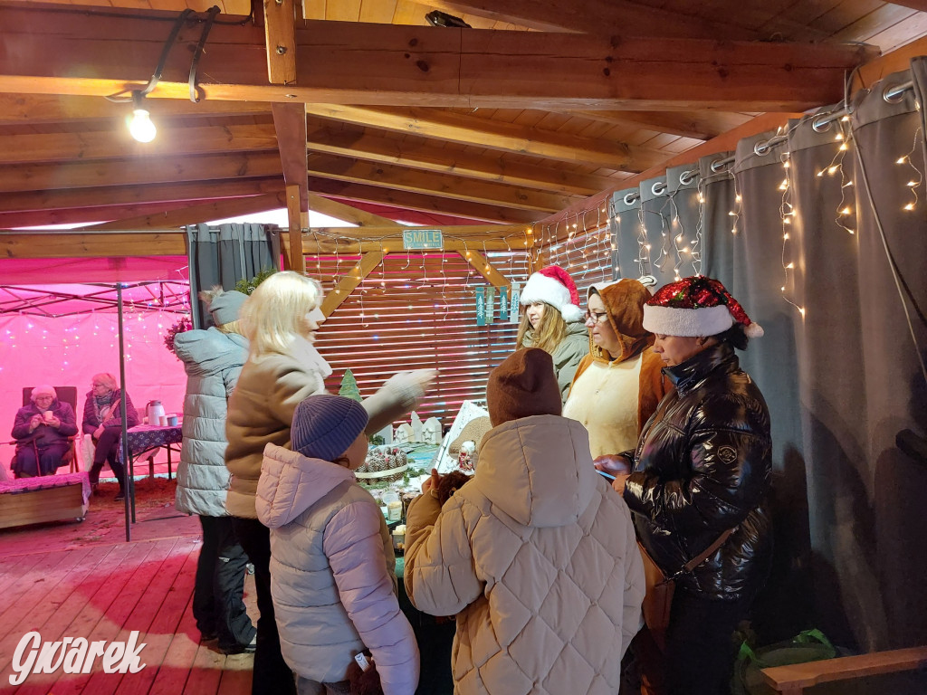 Kameralnie, z alpakami. Połomski jarmark