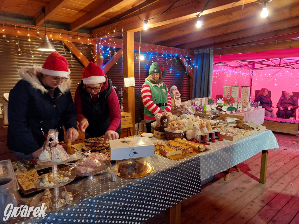 Kameralnie, z alpakami. Połomski jarmark