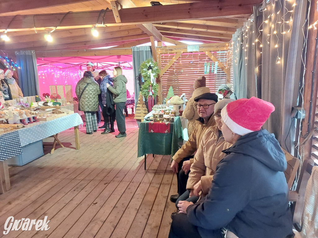 Kameralnie, z alpakami. Połomski jarmark