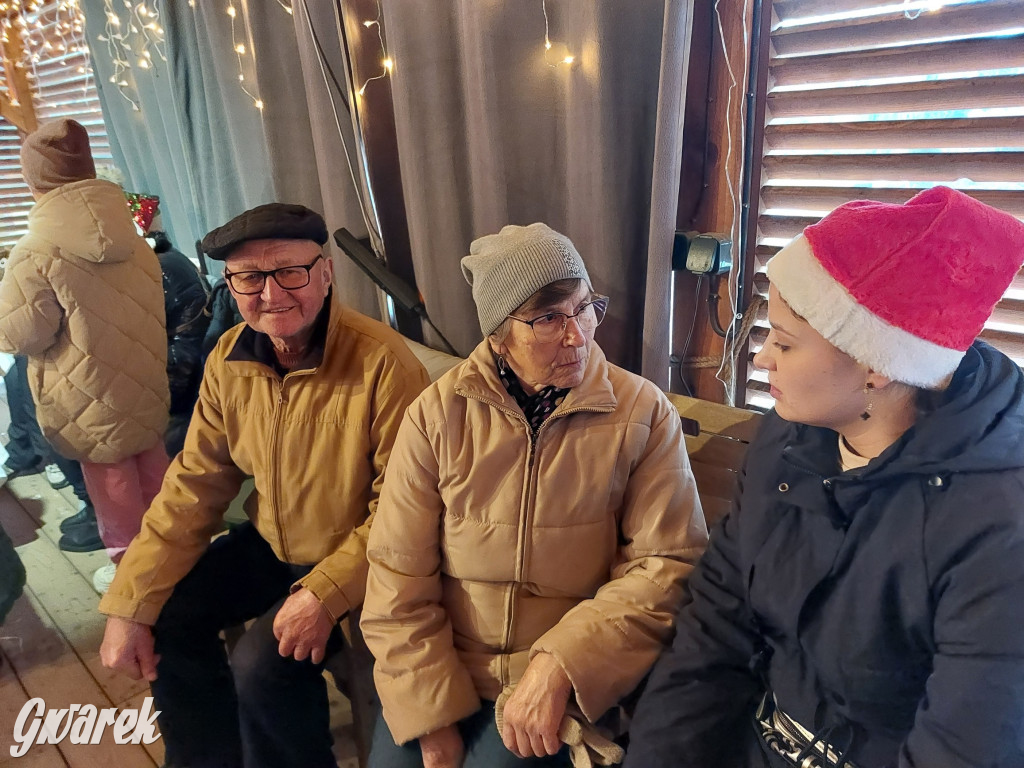 Kameralnie, z alpakami. Połomski jarmark