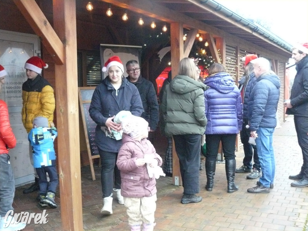 Kameralnie, z alpakami. Połomski jarmark