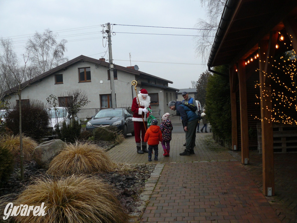 Kameralnie, z alpakami. Połomski jarmark