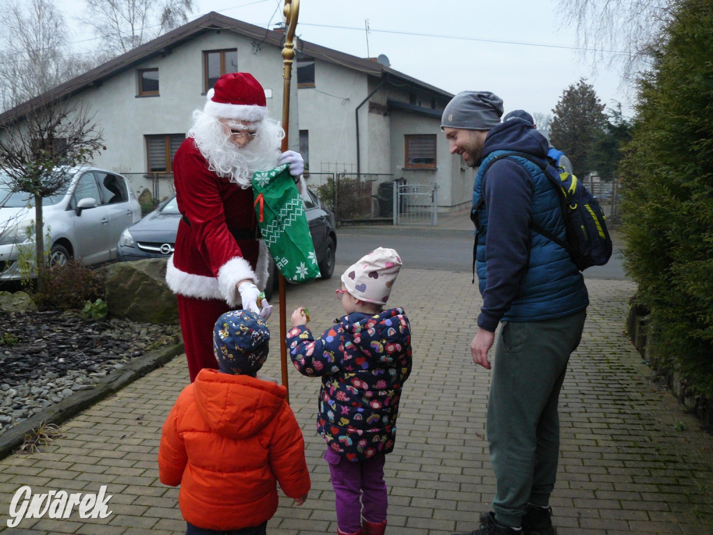 Kameralnie, z alpakami. Połomski jarmark