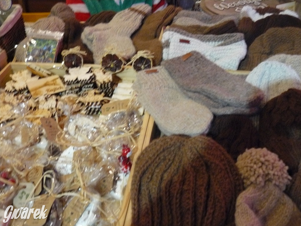 Kameralnie, z alpakami. Połomski jarmark