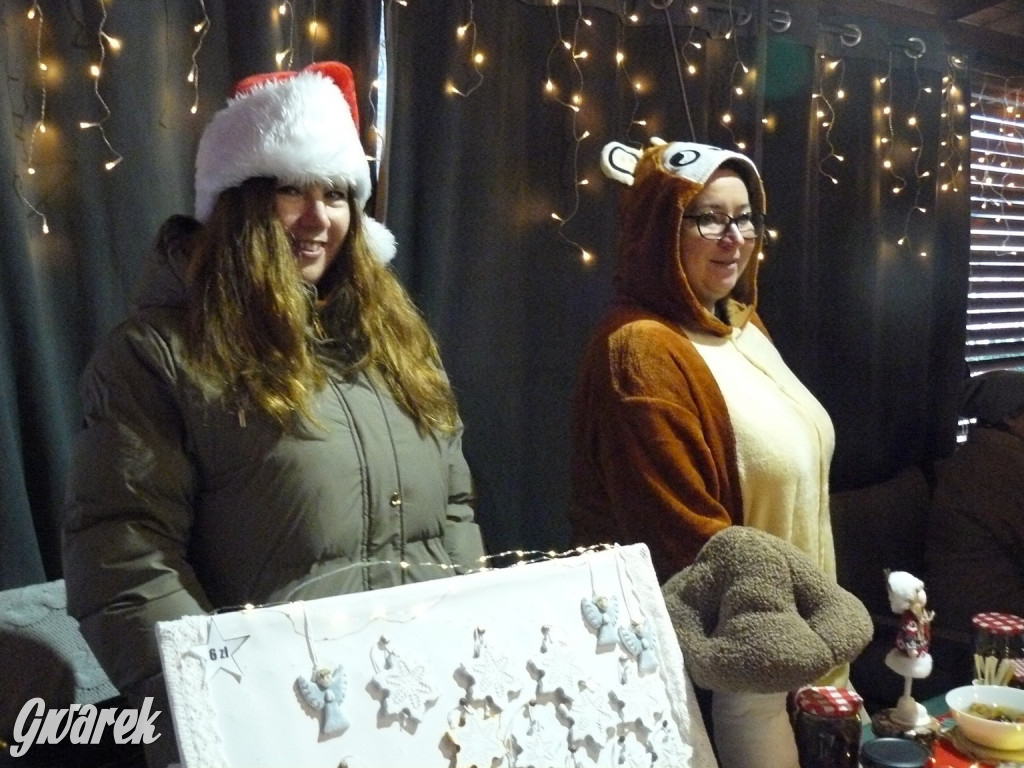 Kameralnie, z alpakami. Połomski jarmark