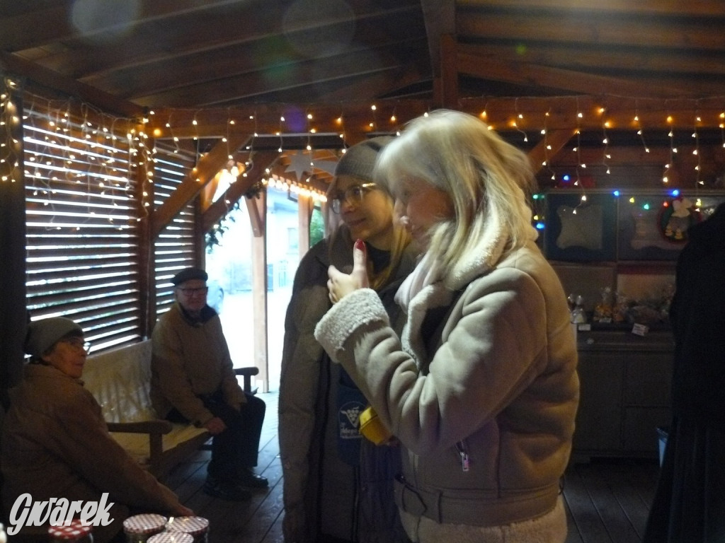 Kameralnie, z alpakami. Połomski jarmark