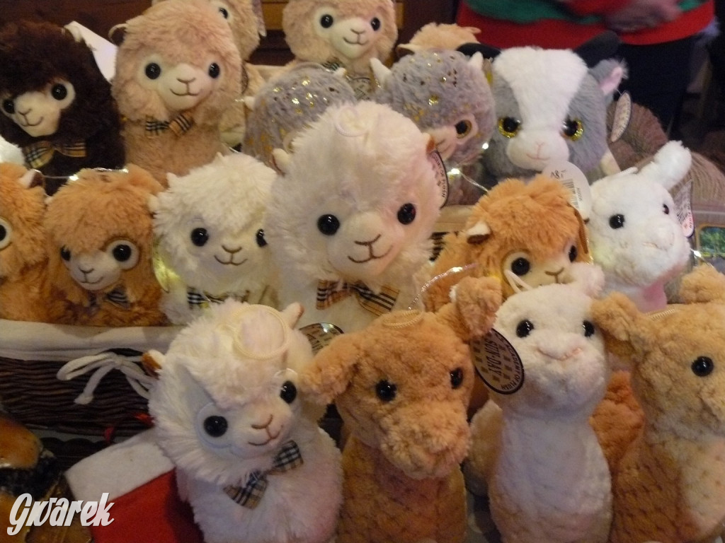 Kameralnie, z alpakami. Połomski jarmark