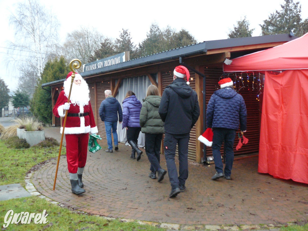Kameralnie, z alpakami. Połomski jarmark