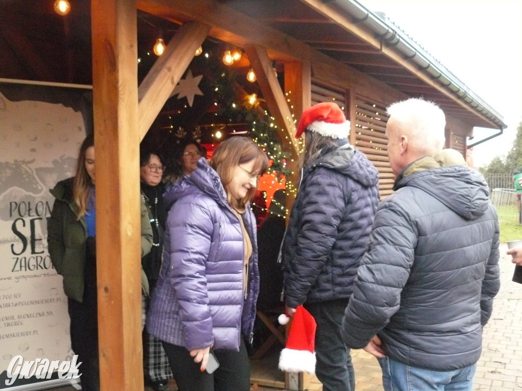 Kameralnie, z alpakami. Połomski jarmark