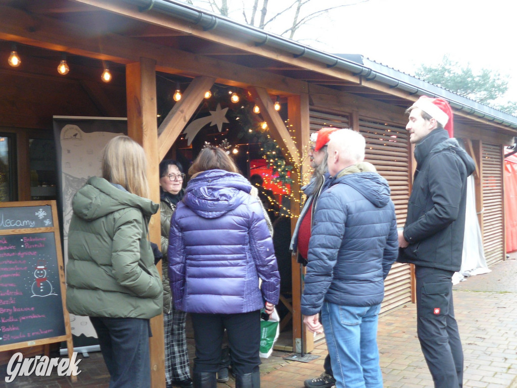 Kameralnie, z alpakami. Połomski jarmark