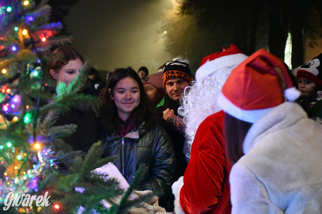 Strzybnicka choinka zabłysła 5 tysiącami lampek