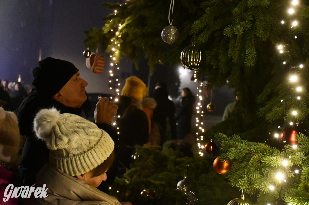 Strzybnicka choinka zabłysła 5 tysiącami lampek