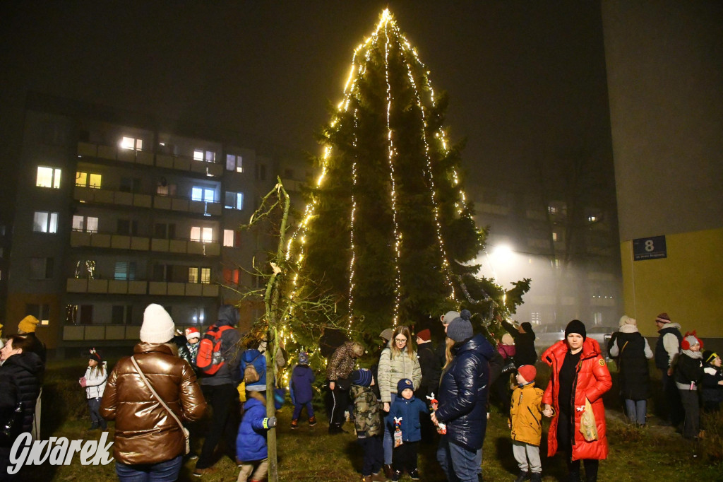 Strzybnicka choinka zabłysła 5 tysiącami lampek