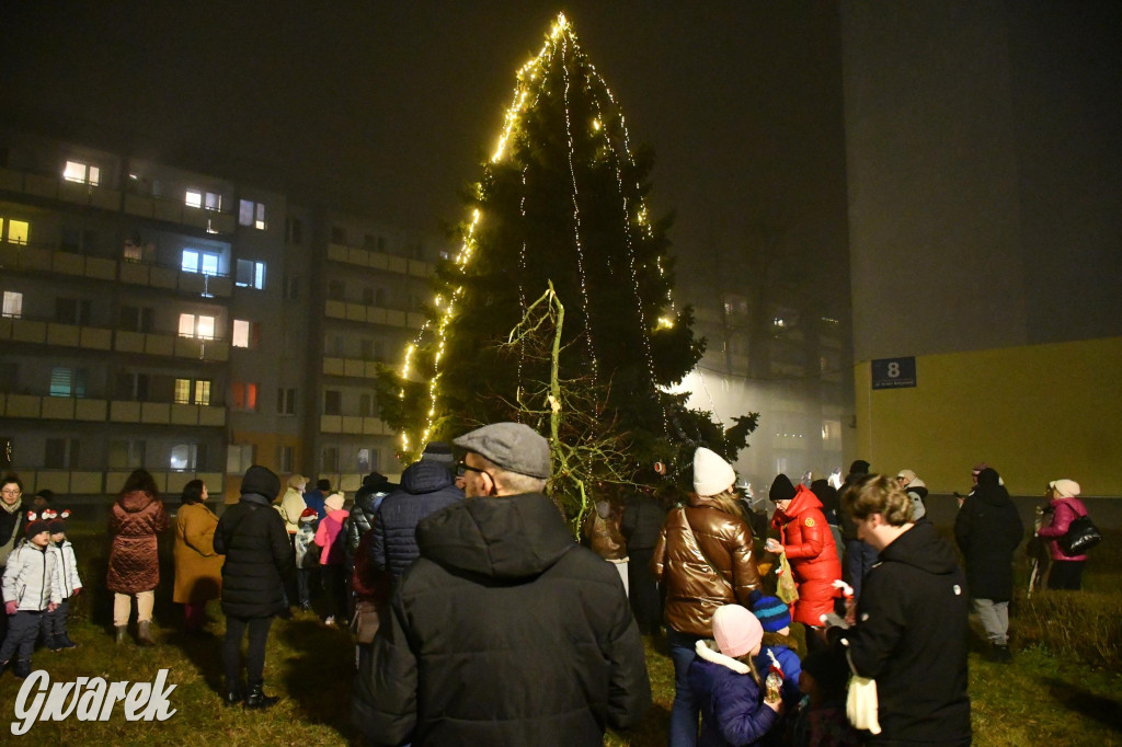 Strzybnicka choinka zabłysła 5 tysiącami lampek