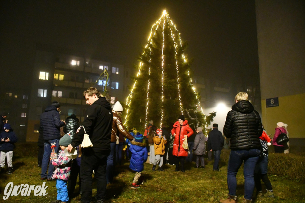 Strzybnicka choinka zabłysła 5 tysiącami lampek
