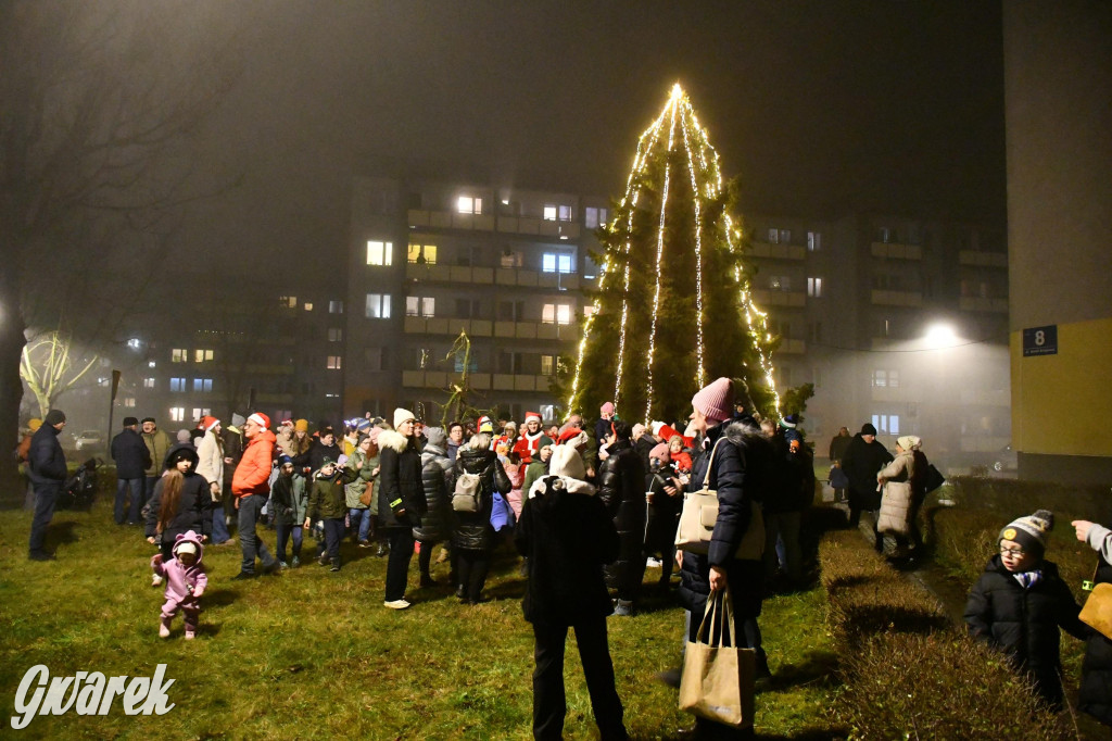 Strzybnicka choinka zabłysła 5 tysiącami lampek