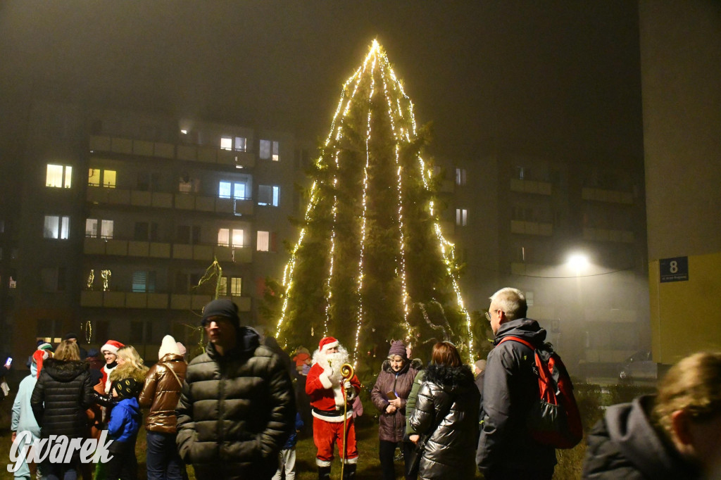 Strzybnicka choinka zabłysła 5 tysiącami lampek
