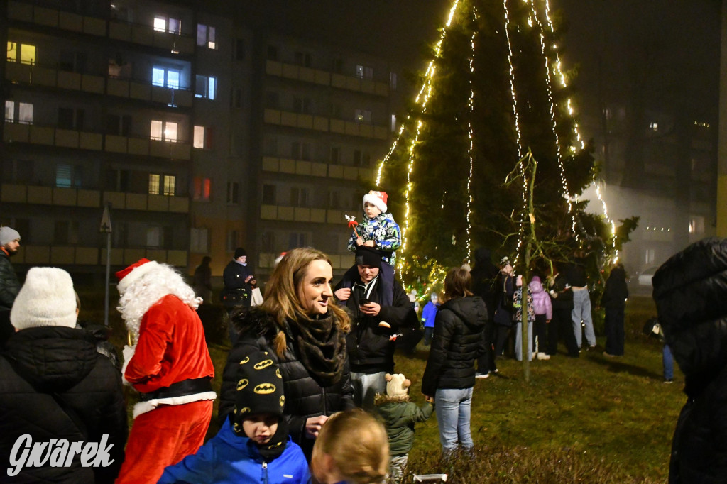 Strzybnicka choinka zabłysła 5 tysiącami lampek