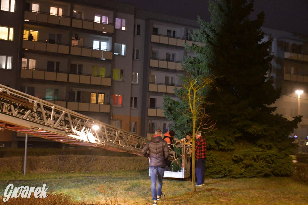 Strzybnicka choinka zabłysła 5 tysiącami lampek
