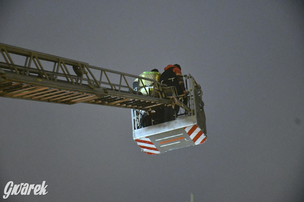 Strzybnicka choinka zabłysła 5 tysiącami lampek
