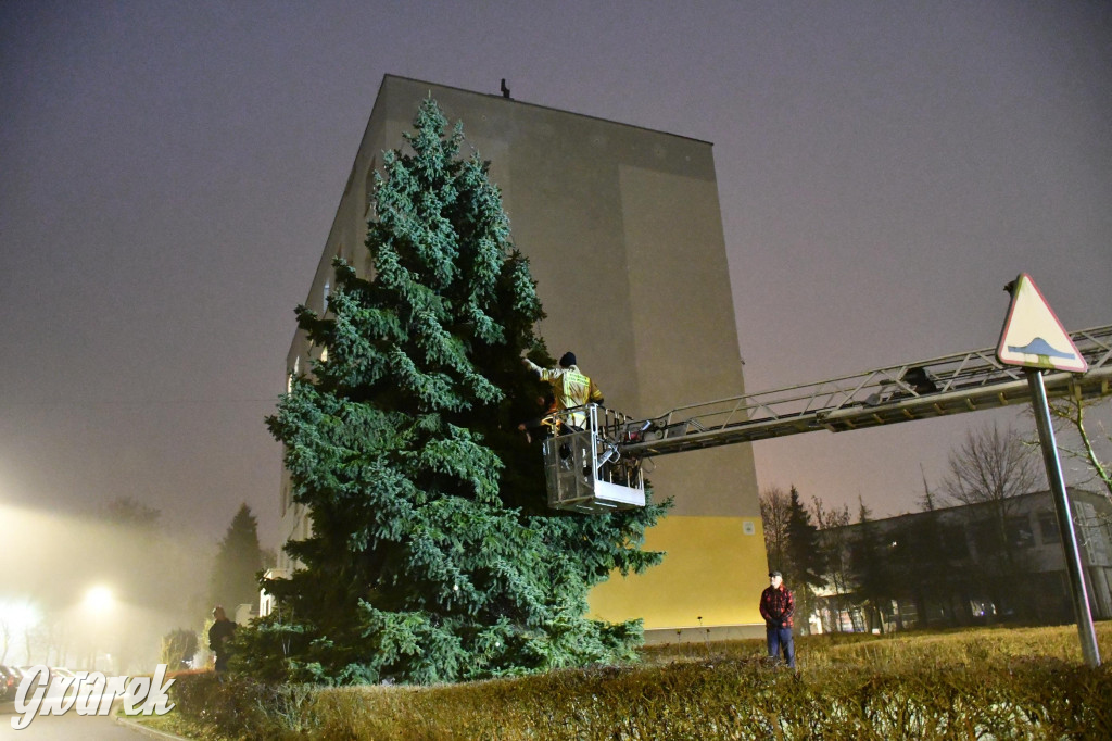 Strzybnicka choinka zabłysła 5 tysiącami lampek