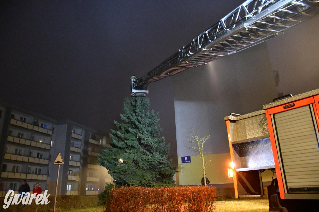 Strzybnicka choinka zabłysła 5 tysiącami lampek