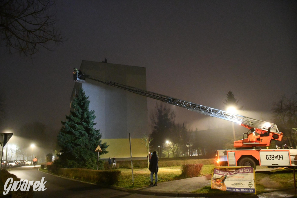 Strzybnicka choinka zabłysła 5 tysiącami lampek