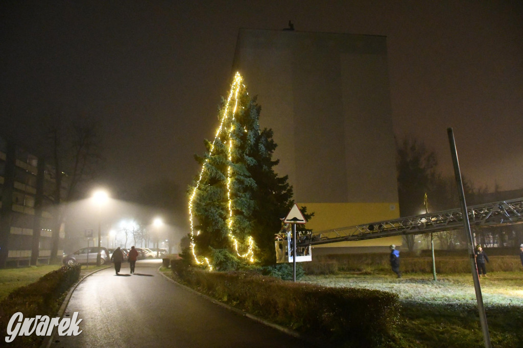 Strzybnicka choinka zabłysła 5 tysiącami lampek
