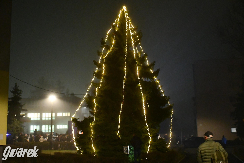 Strzybnicka choinka zabłysła 5 tysiącami lampek