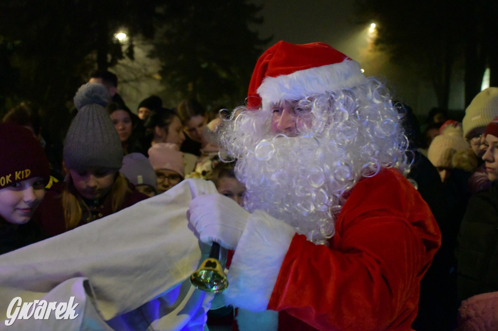 Strzybnicka choinka zabłysła 5 tysiącami lampek