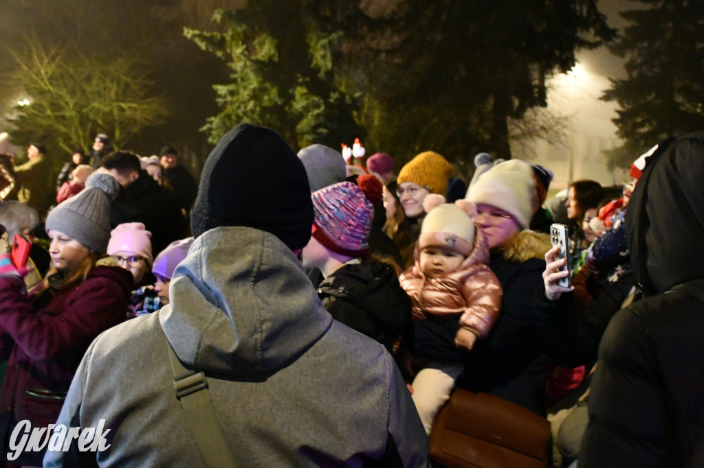 Strzybnicka choinka zabłysła 5 tysiącami lampek