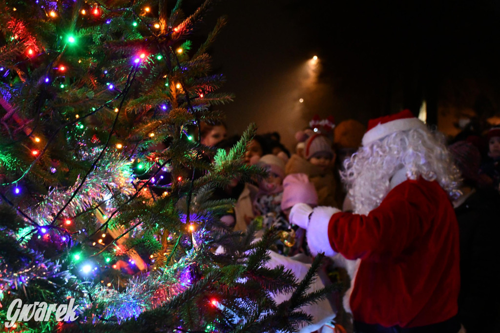 Strzybnicka choinka zabłysła 5 tysiącami lampek