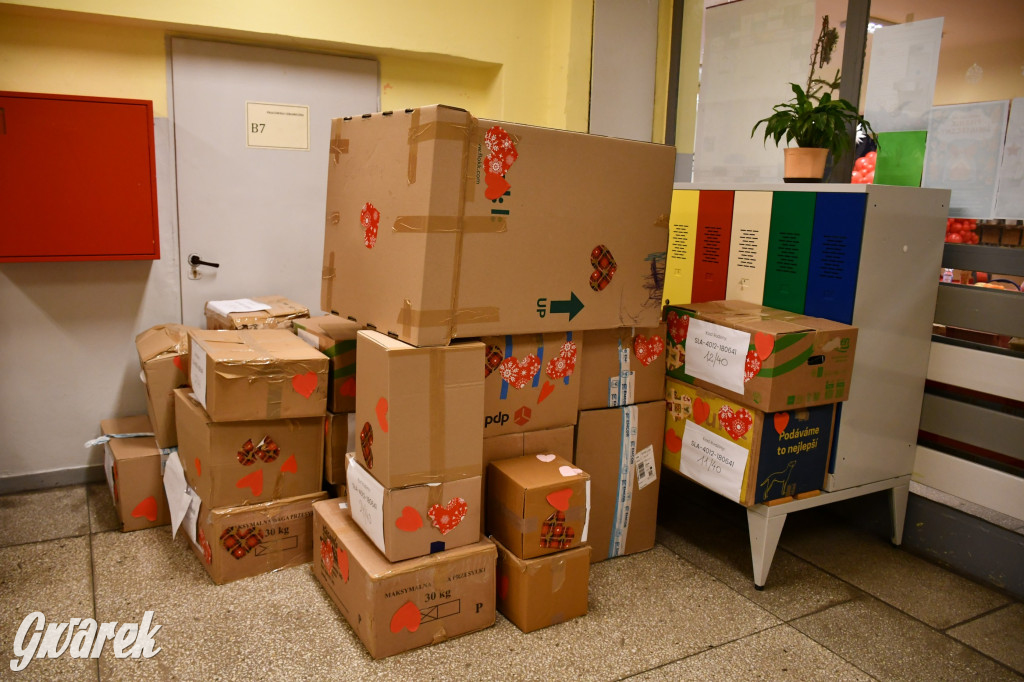 Weekend cudów trwa. Nasi wolontariusze mają moc!