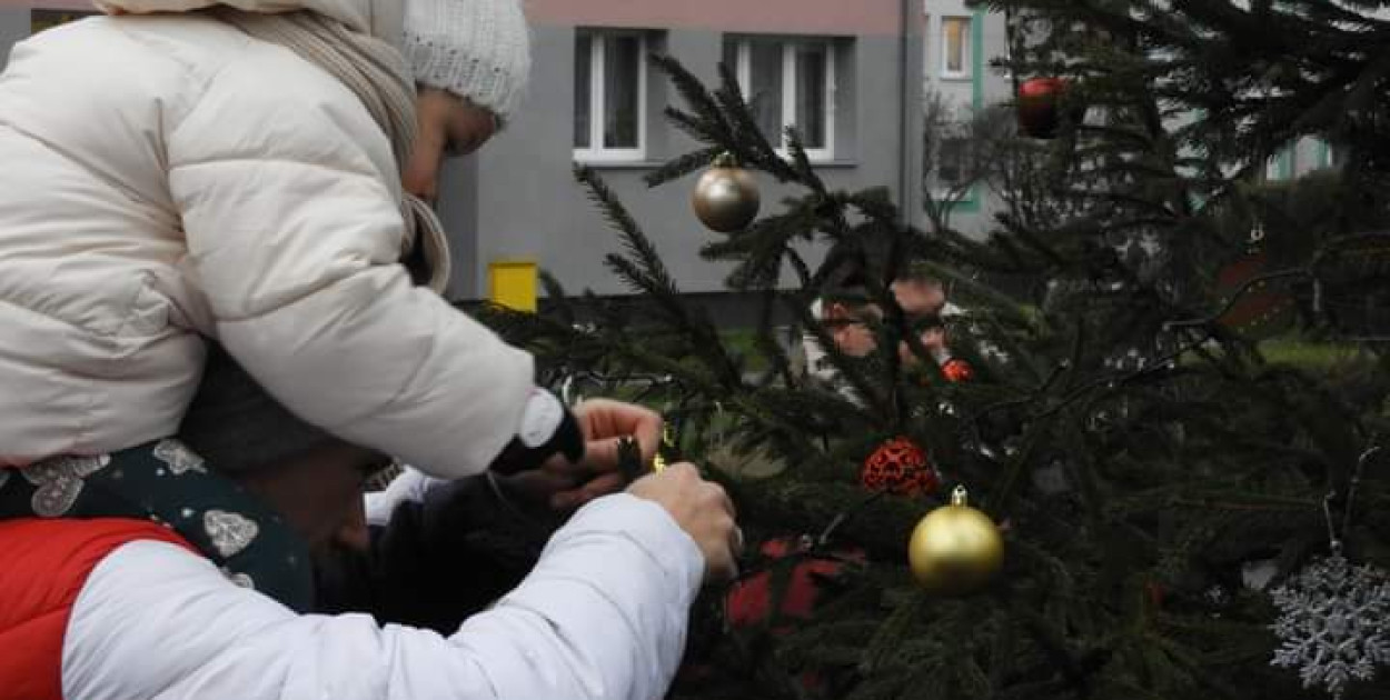 Strojenie choinki na osiedlowym skwerku seniora