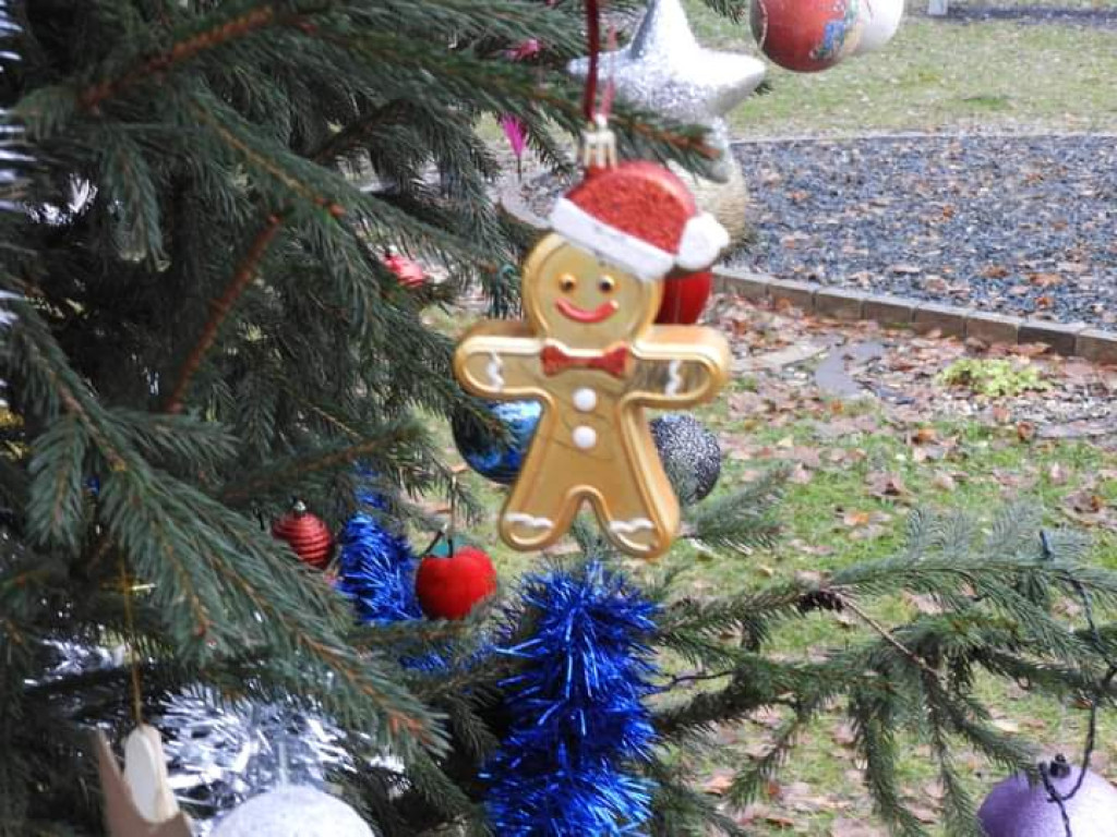 Strojenie choinki na osiedlowym skwerku seniora