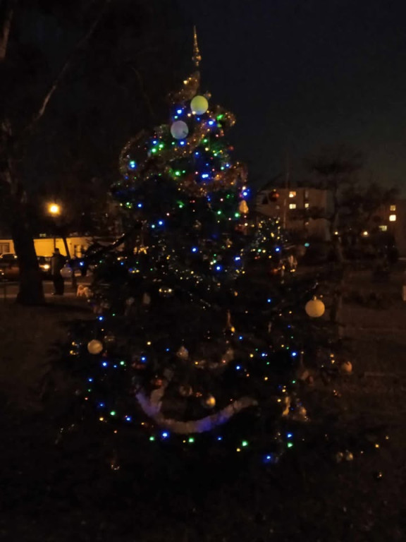 Strojenie choinki na osiedlowym skwerku seniora