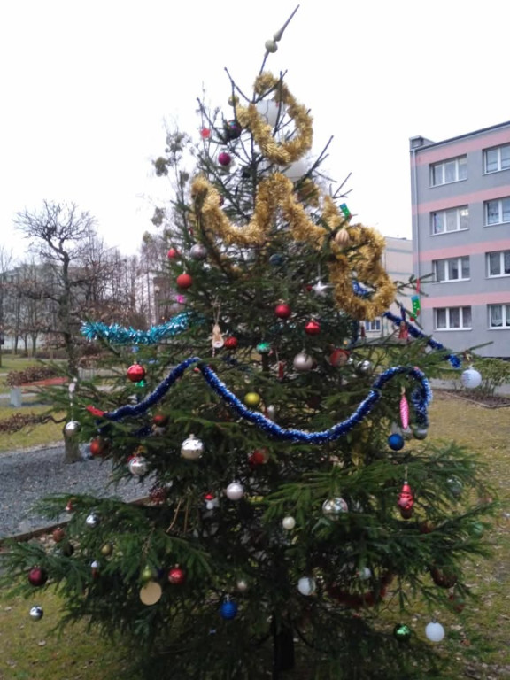 Strojenie choinki na osiedlowym skwerku seniora