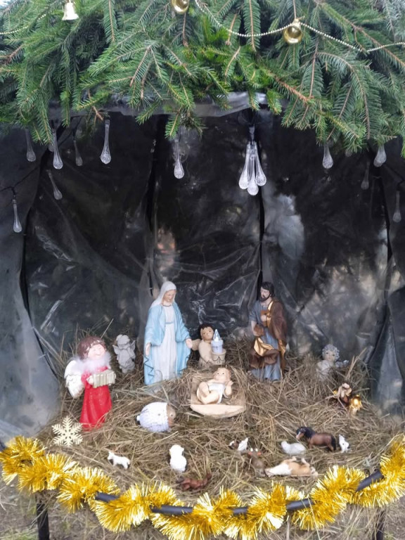 Strojenie choinki na osiedlowym skwerku seniora