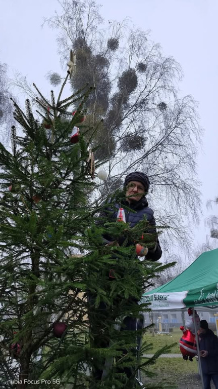 Strojenie choinki na osiedlowym skwerku seniora
