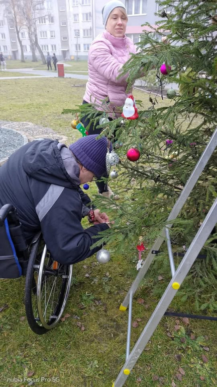 Strojenie choinki na osiedlowym skwerku seniora