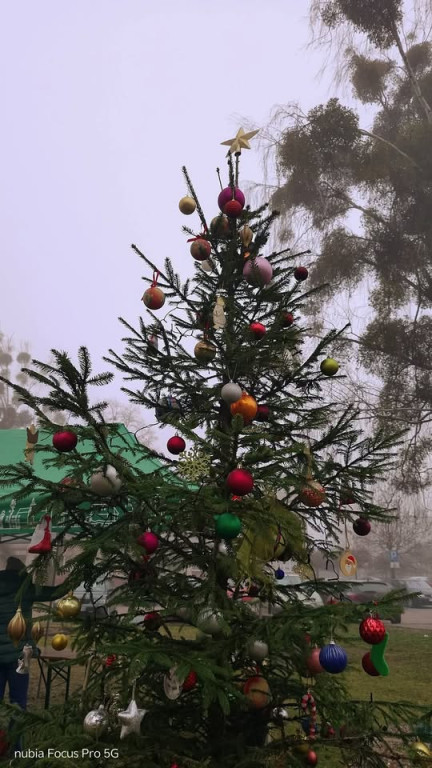 Strojenie choinki na osiedlowym skwerku seniora