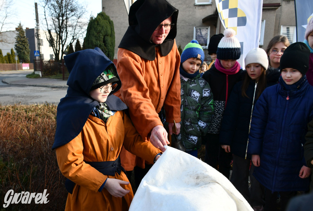 Trzynasta rzeźba gwarka odsłonięta