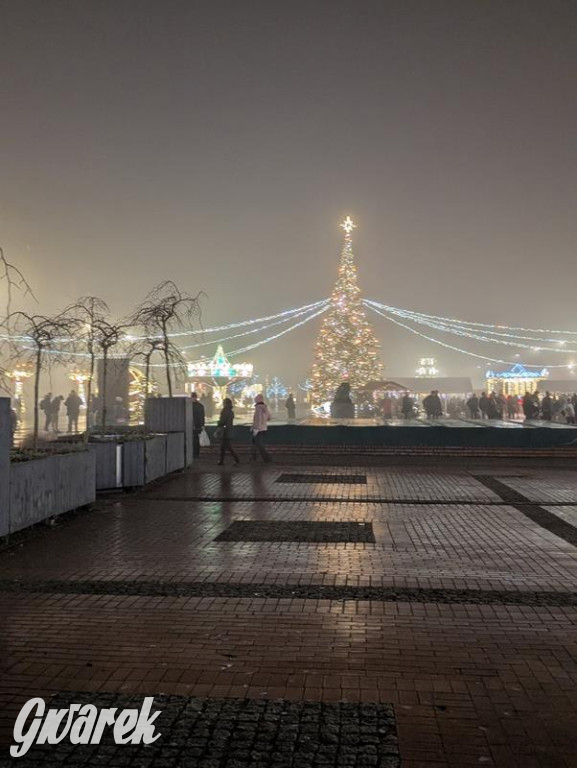 Zimowa gwiazdka i Power of Wings