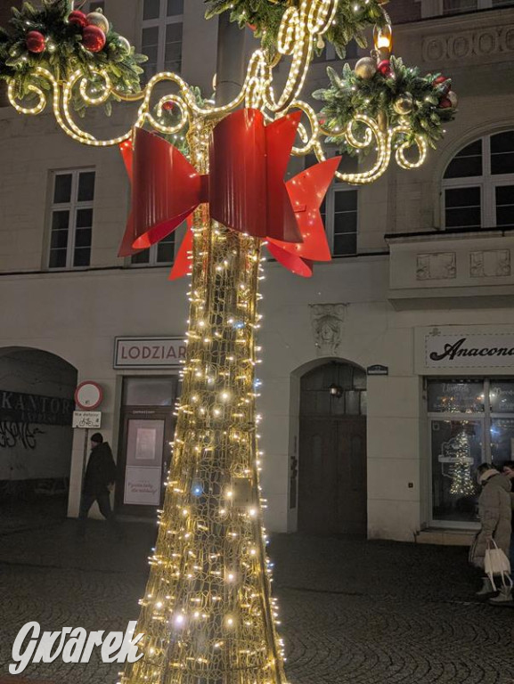 Zimowa gwiazdka i Power of Wings