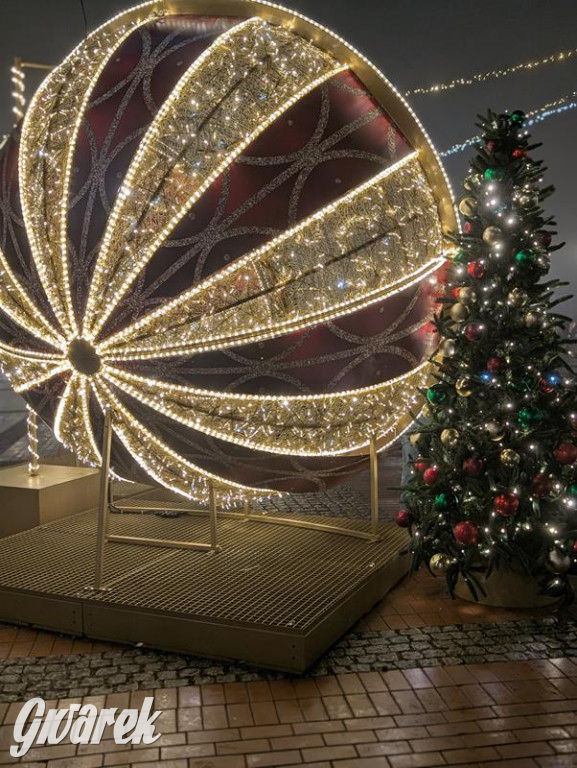 Zimowa gwiazdka i Power of Wings