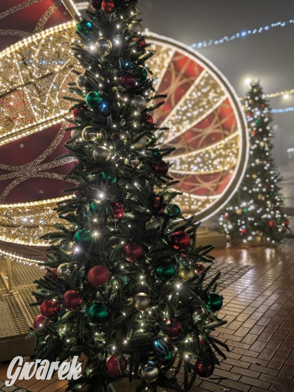 Zimowa gwiazdka i Power of Wings