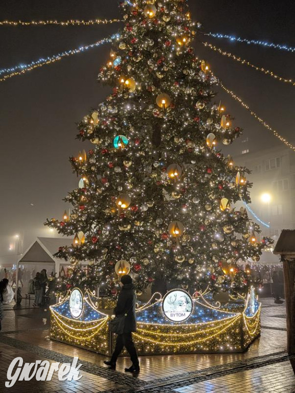 Zimowa gwiazdka i Power of Wings